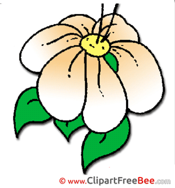 Petals Flower printable Images for download Petals Flower printable Images for download