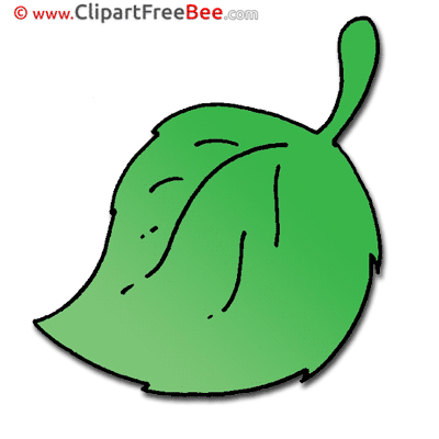 Plantain Pics free Illustration Plantain Pics free Illustration