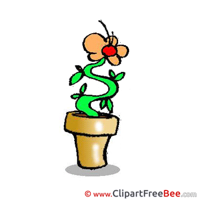 Pot Flower Images download free Cliparts Pot Flower Images download free Cliparts