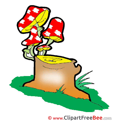 Stump Mushrooms Clipart free Image download