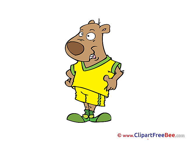 Bear download Clipart Sport Cliparts