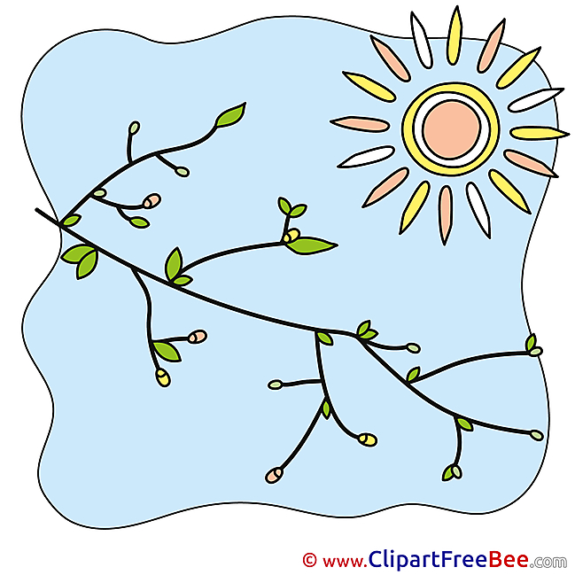 Branch Sky Sun Clipart free Illustrations