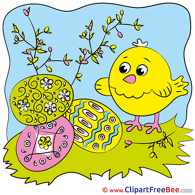 Eggs Spring Chicken Pics printable Cliparts