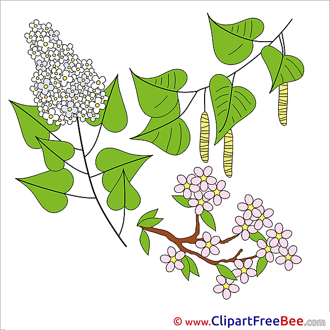 Lilac Branch free printable Cliparts and Images