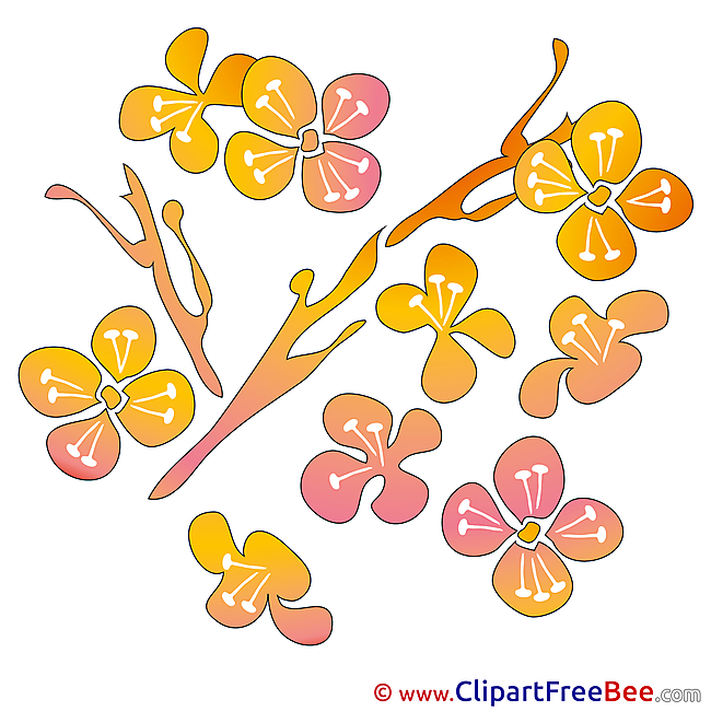 Petals Flowers printable Illustrations for free