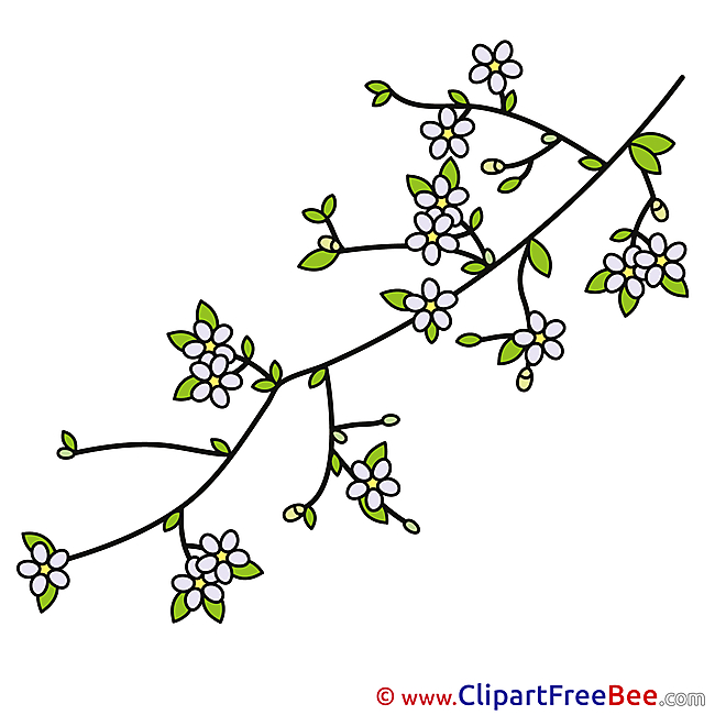 Spring Branch Clipart free Illustrations