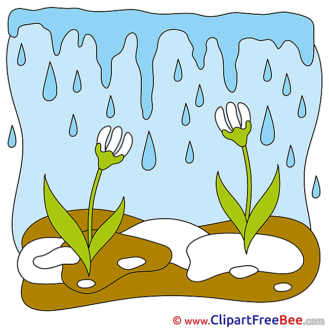 Spring Snowdrops download Clip Art for free