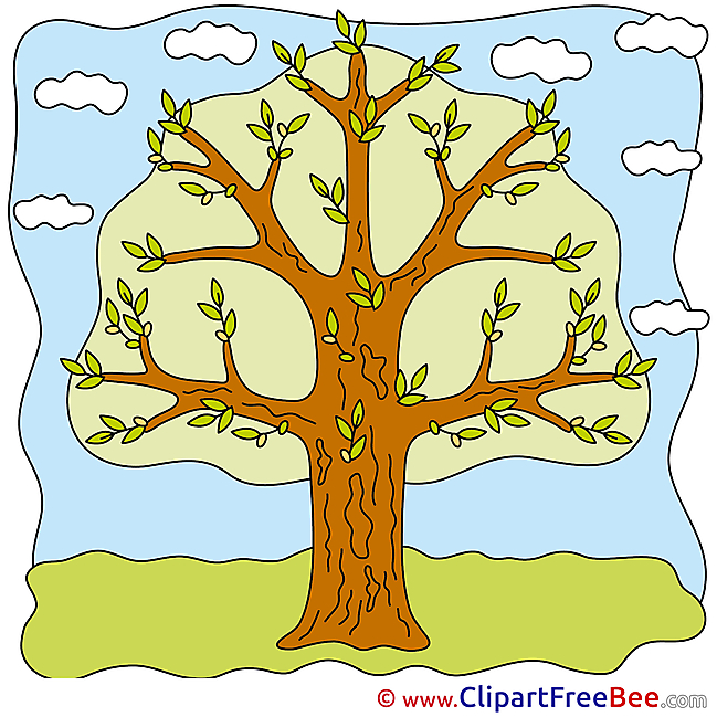 Tree Sky Clouds Pics free Illustration