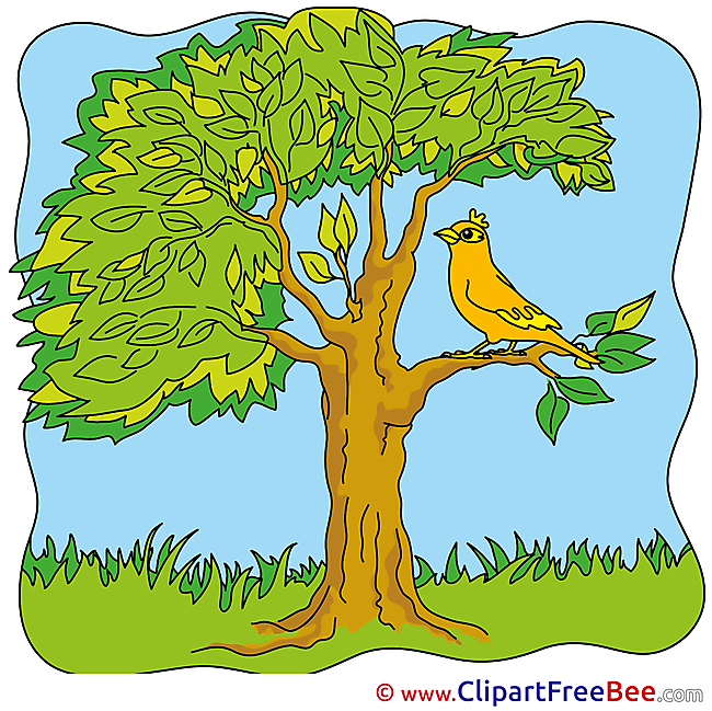 Bird Tree Pics Summer free Cliparts