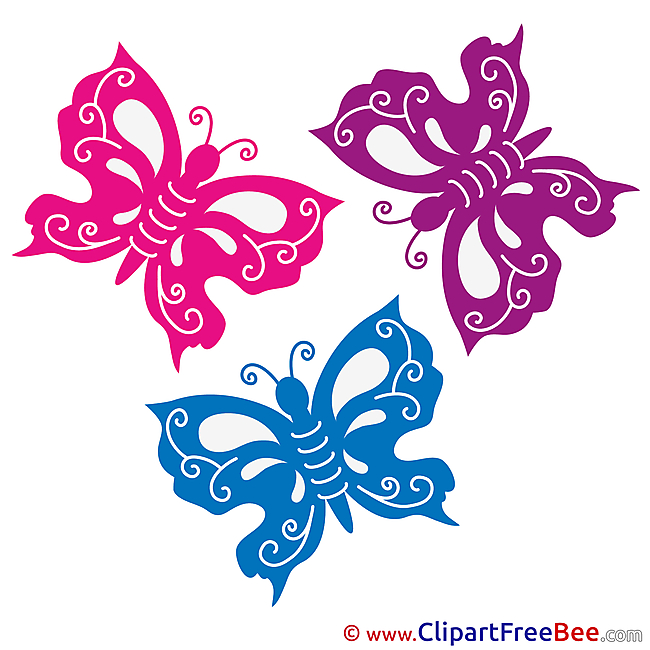 Free Butterflies Illustration Summer