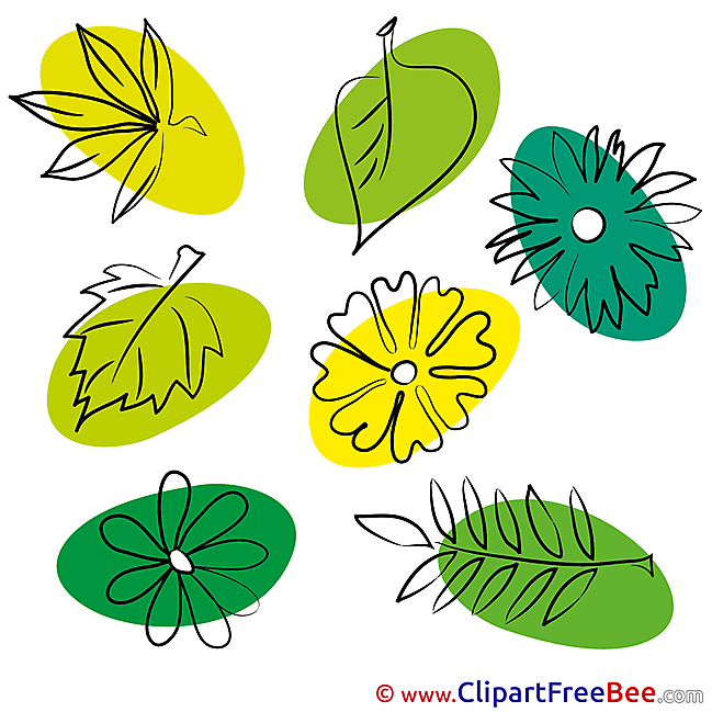 Leaves download Summer Illustrations