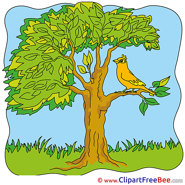 Tree Bird Cliparts Summer for free