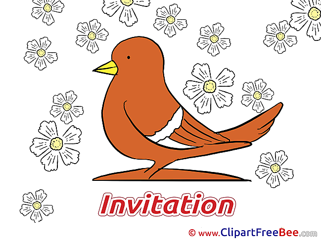 Pigeon Postcards Invitations for free