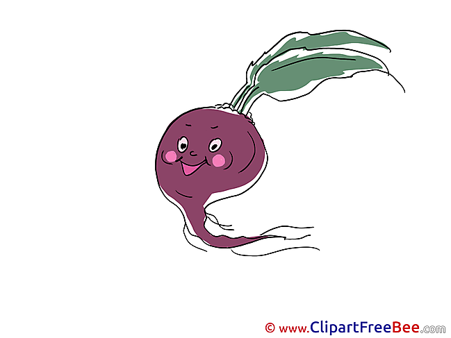 Beet Images download free Cliparts