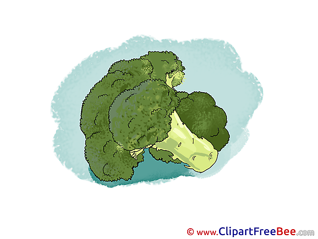 Broccoli Pics printable Cliparts