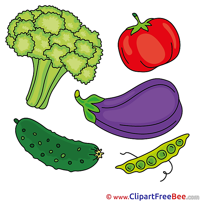 Broccoli Vagatables free Illustration download