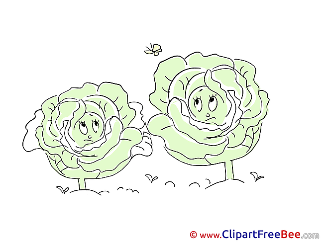 Butterfly Cabbages free printable Cliparts and Images