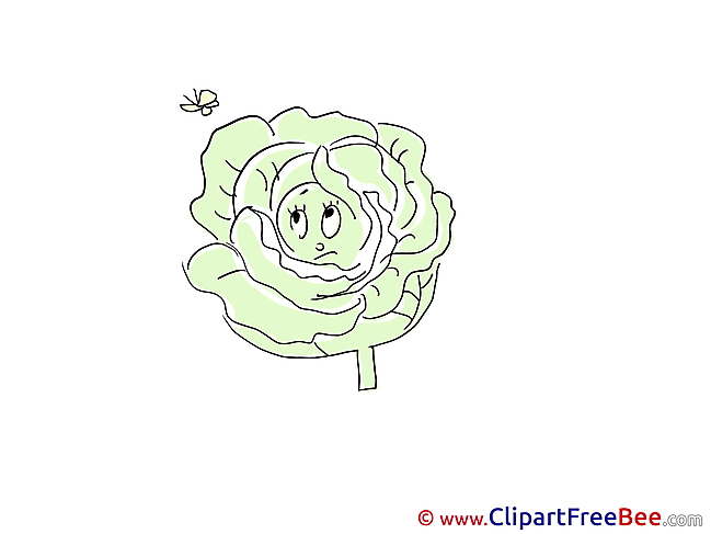 Cabbage Butterfly Cliparts printable for free