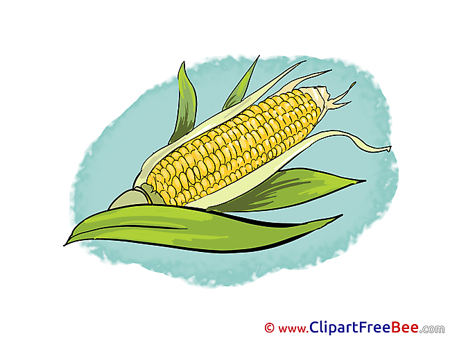 Corn Clip Art download for free
