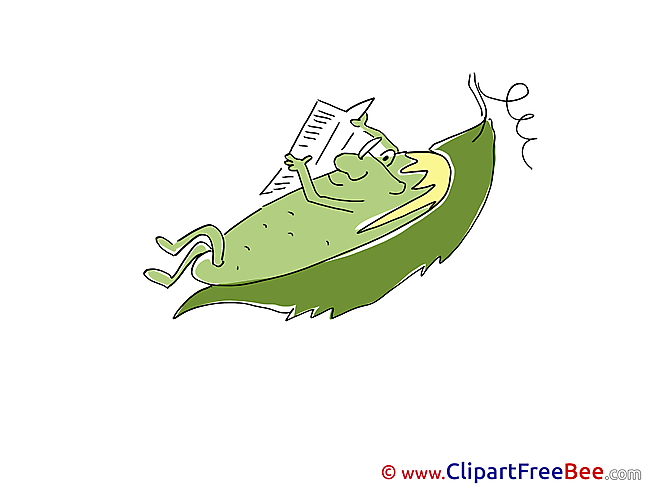 Cucumber Newspaper Clipart free Image download