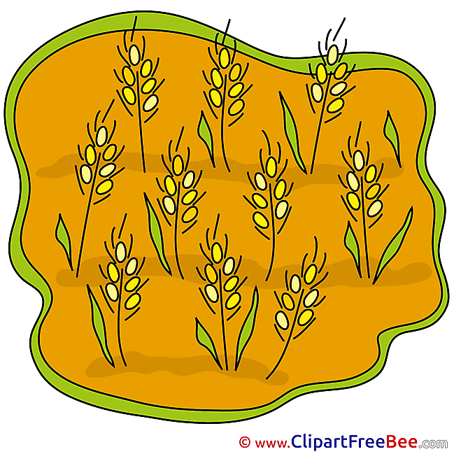 Garden Wheat Images download free Cliparts