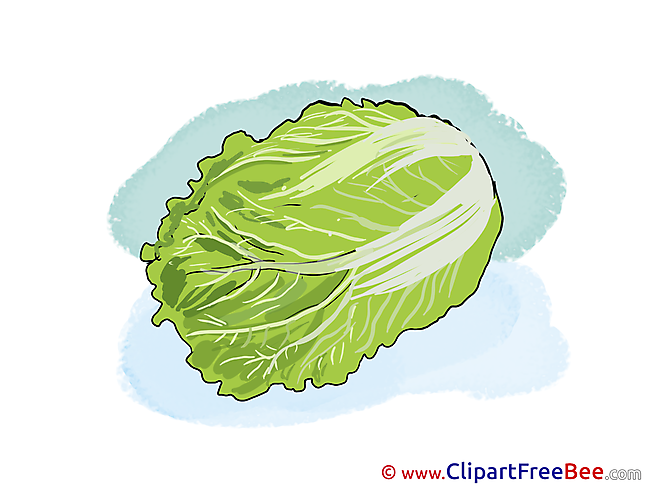 Lettuce free printable Cliparts and Images