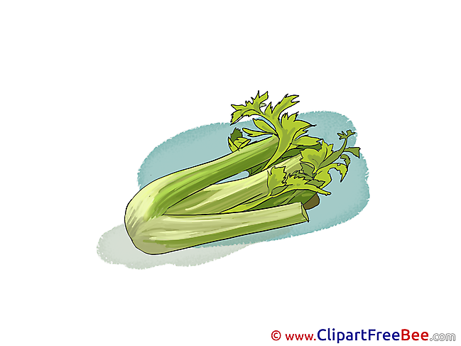 Parsley Pics download Illustration