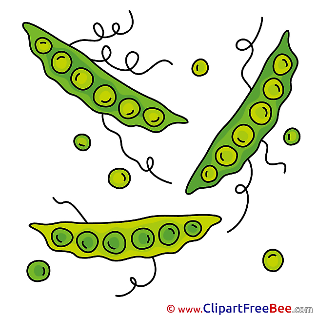 Peas Clipart free Image download