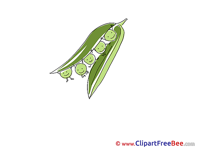 Peas download printable Illustrations