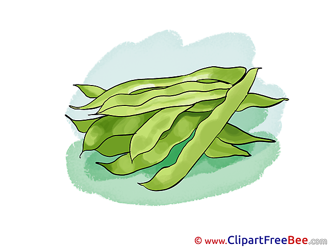 Peas Pics download Illustration