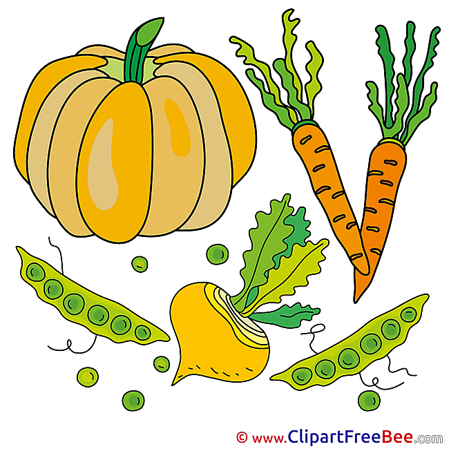 Pumpkin Vegatables Pics printable Cliparts