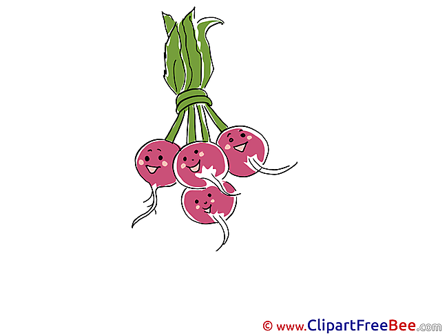 Radish Pics printable Cliparts