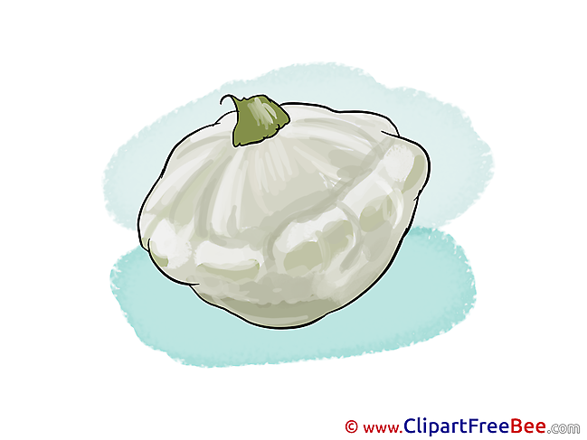 Squash Clipart free Illustrations