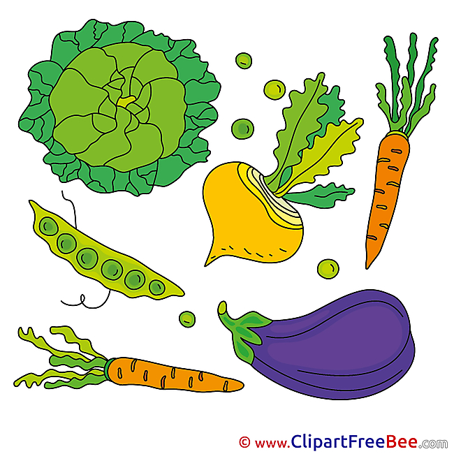 Vegatables Carrot Auvergine Pics free Illustration