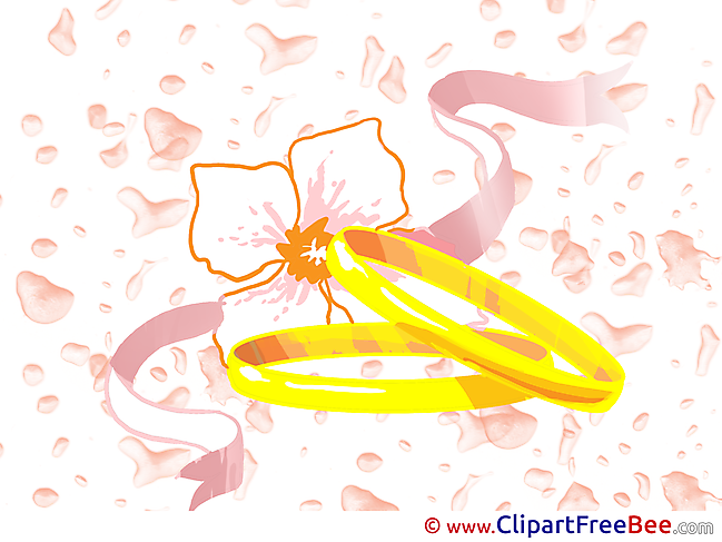 Rings free Illustration Wedding