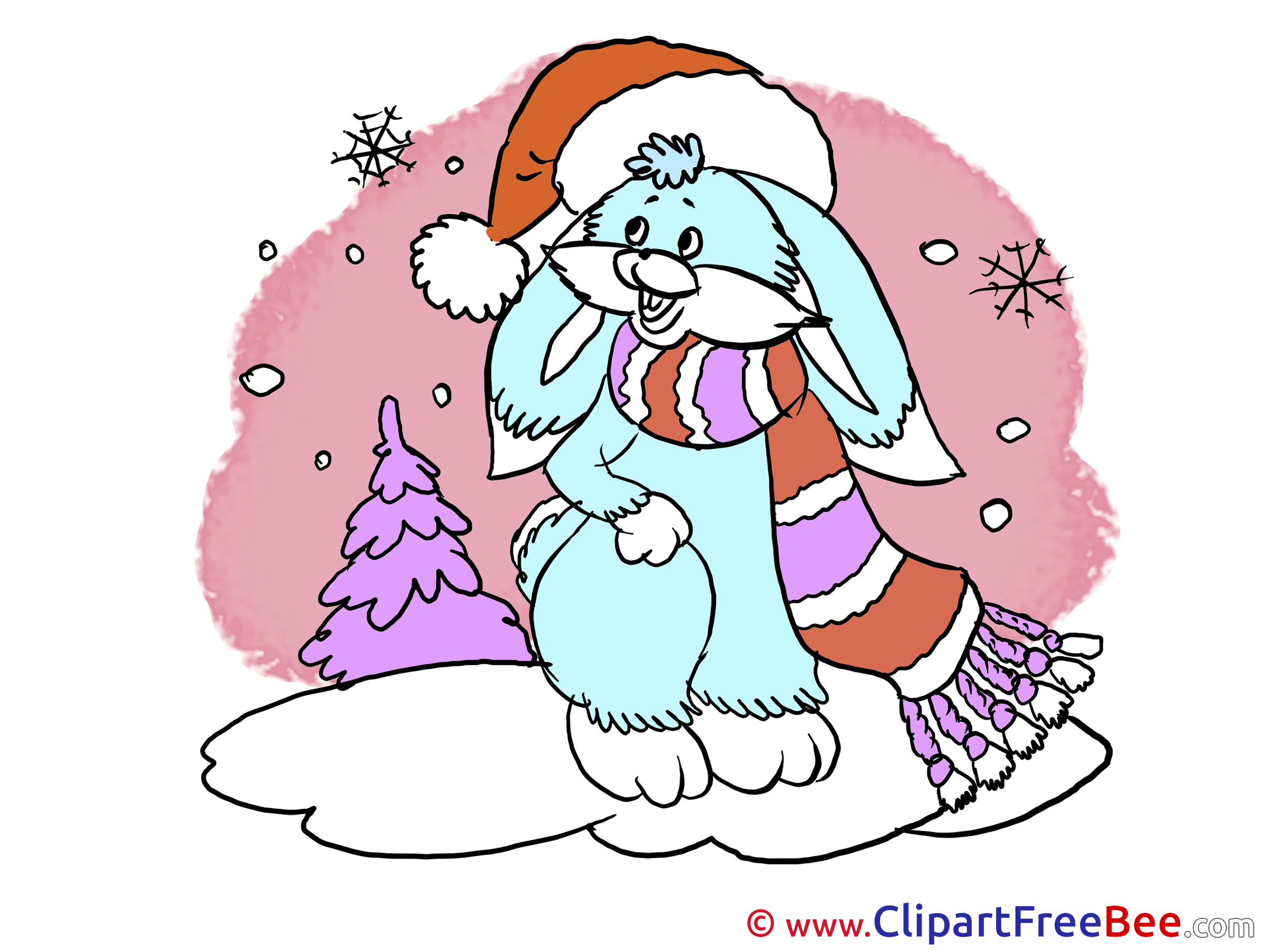 Hare Snow Winter free Images download