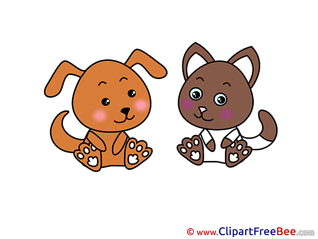 Animals Dog Cat Pics free Illustration