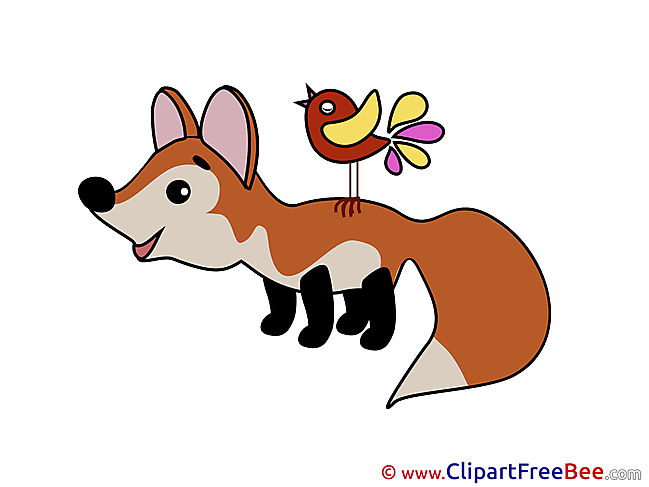 Bird Fox download Clip Art for free