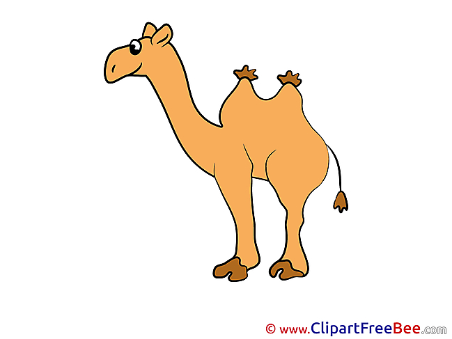 Camel download Clip Art for free