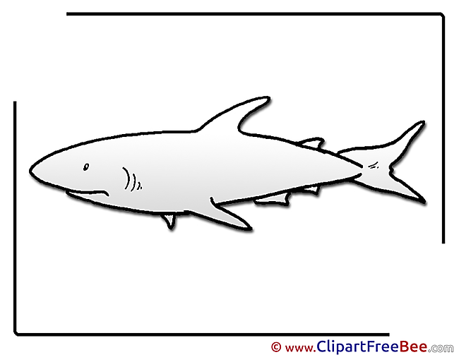 Coloring Shark free Illustration download