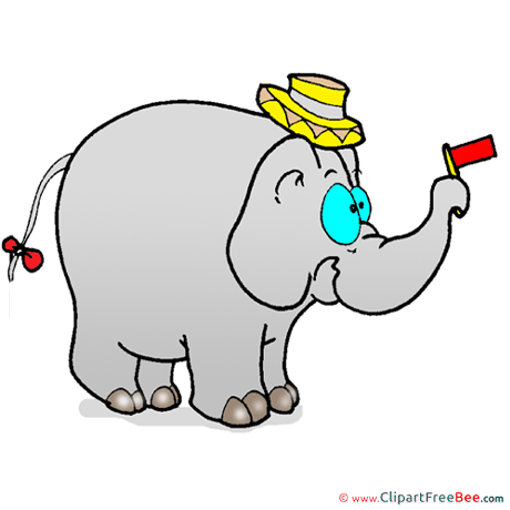 Hat Elephant Pics free download Image Hat Elephant Pics free download Image