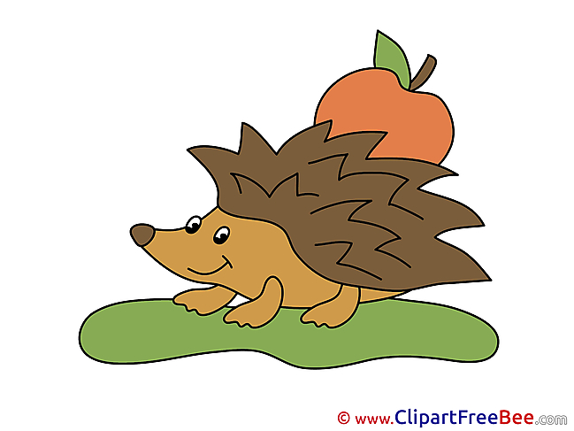 Hedgehog free Cliparts for download