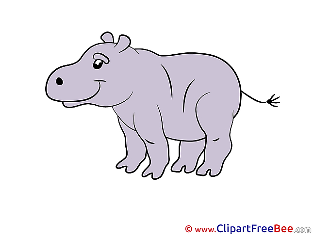 Hippo Pics free download Image