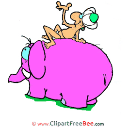 Indian Elephant Pics download Illustration Indian Elephant Pics download Illustration