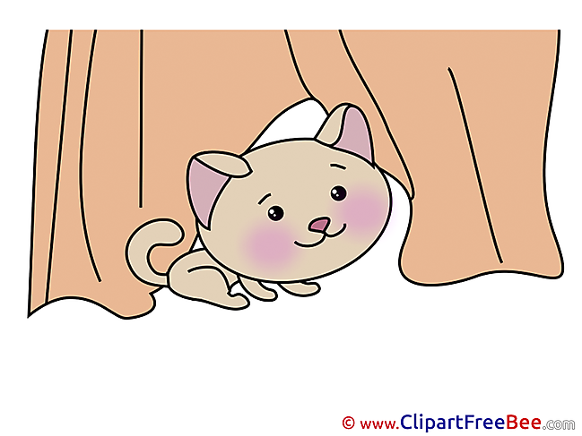 Kitty free Cliparts for download