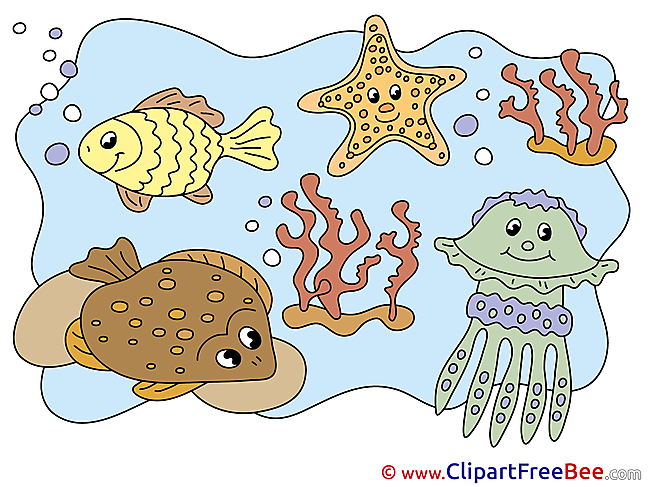 Marine Animals download printable Illustrations