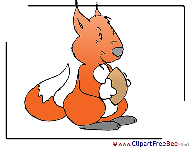 Nut Squirrel Pics printable Cliparts