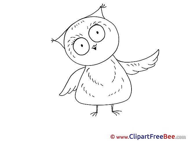 Owl printable Images for download