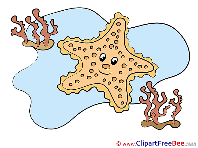 Pics Starfish printable Cliparts