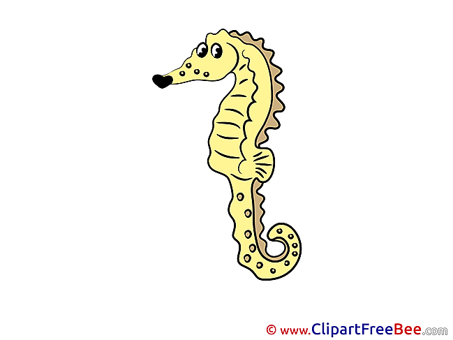 Seahorse printable Images for download